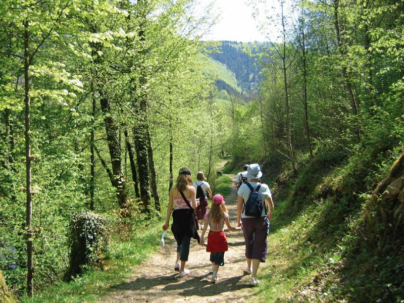 Asesoria Naturaleza.jpg Paisaje senderismo