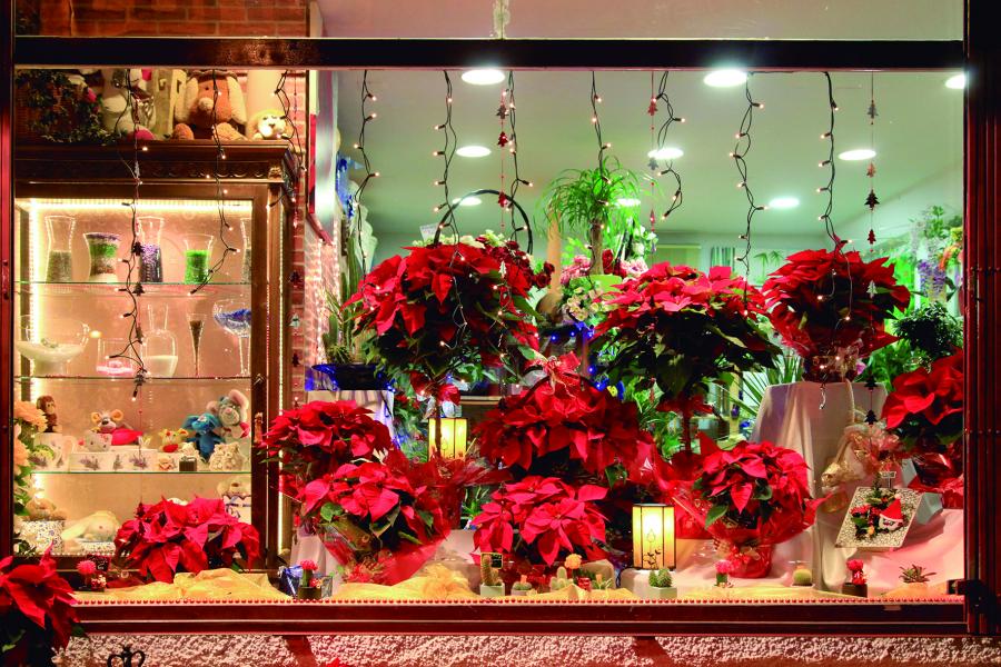 escaparatesnavideños.jpg Escaparates Navideños