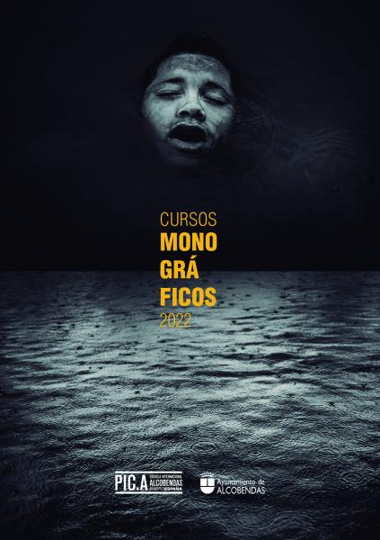 monográficos pica.jpg cursos monográficos PIC.a