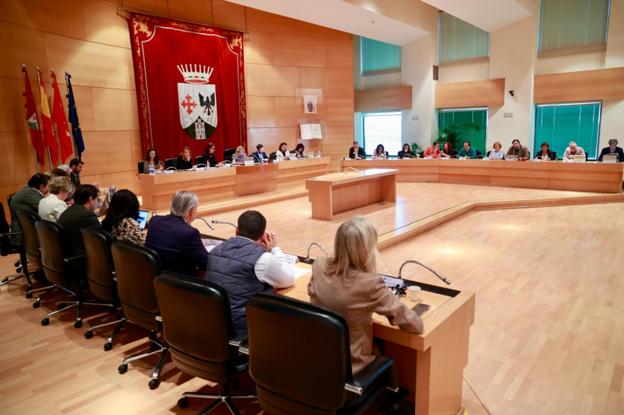 Pleno.jpeg Pleno