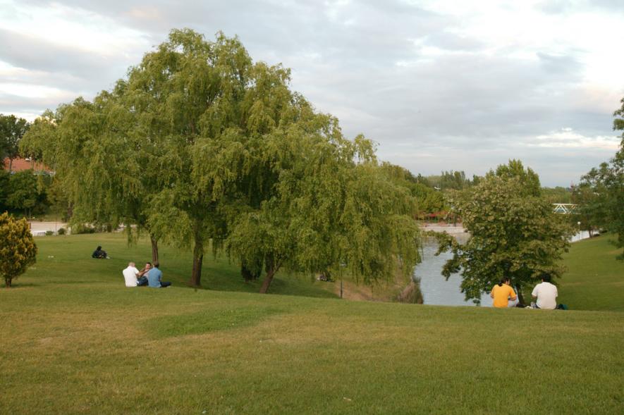 Zonas verdes en el Parque de Andalucía
