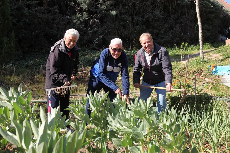Actividades de jardinería. 