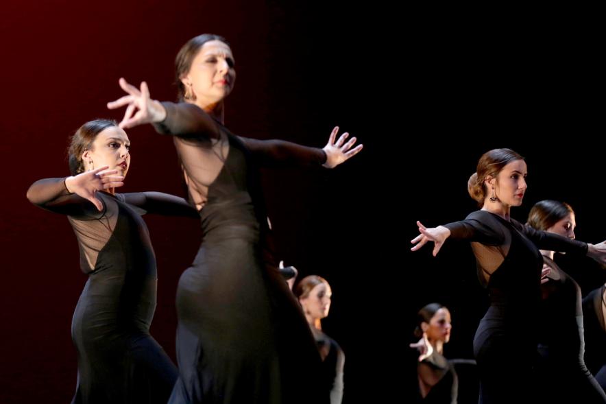 VIIº Certamen Día Mundial de la Danza ADAE - Imagen de uno de los grupos de danza en un momento de su actuación.