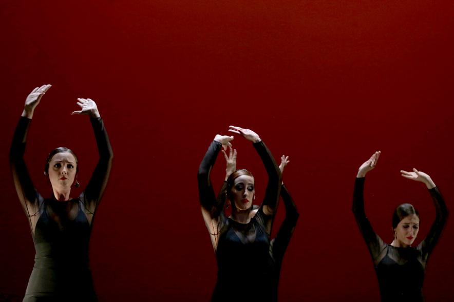 VIIº Certamen Día Mundial de la Danza ADAE - Imagen de uno de los grupos de danza en un momento de su actuación.