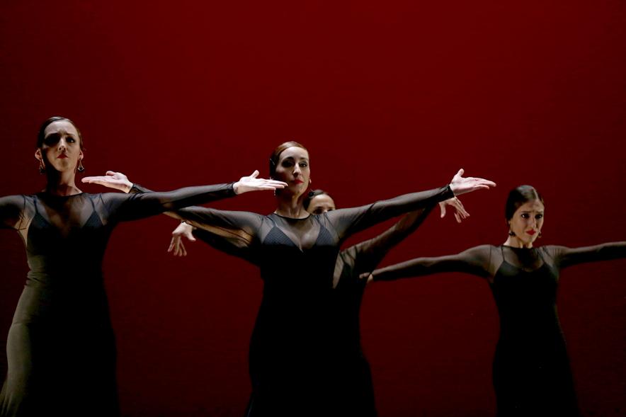 VIIº Certamen Día Mundial de la Danza ADAE - Imagen de uno de los grupos de danza en un momento de su actuación.