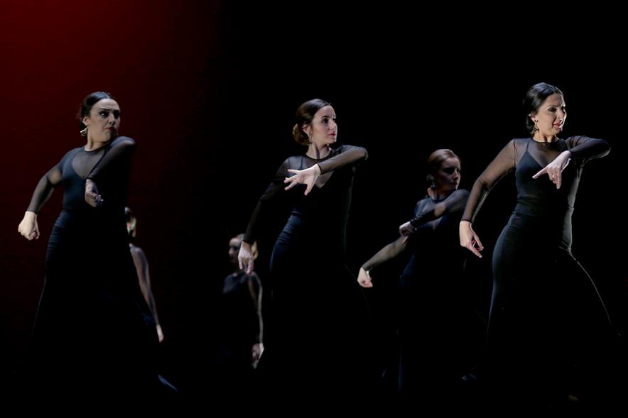 VIIº Certamen Día Mundial de la Danza ADAE - Imagen de uno de los grupos de danza en un momento de su actuación.