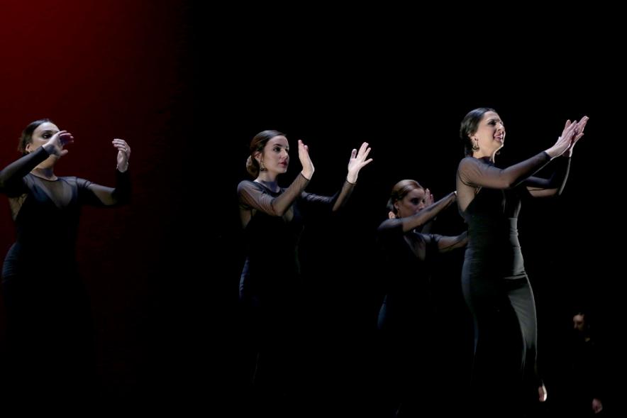 VIIº Certamen Día Mundial de la Danza ADAE - Imagen de uno de los grupos de danza en un momento de su actuación.