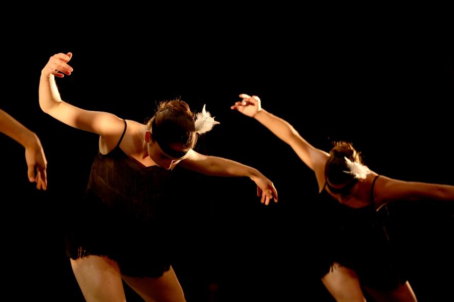 VIIº Certamen Día Mundial de la Danza ADAE - Imagen de uno de los grupos de danza en un momento de su actuación.