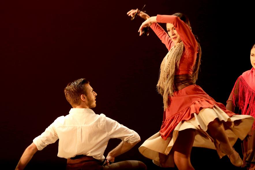 VIIº Certamen Día Mundial de la Danza ADAE - Imagen de uno de los grupos de danza en un momento de su actuación.