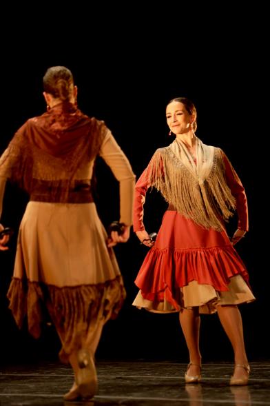 VIIº Certamen Día Mundial de la Danza ADAE - Imagen de uno de los grupos de danza en un momento de su actuación.