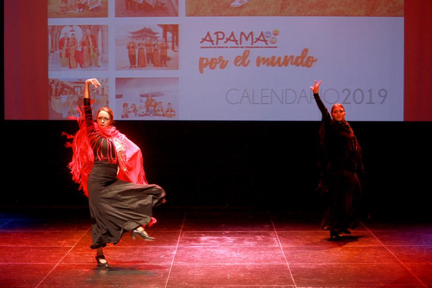 Presentación Calendario APAMA 2019 -  Primer plano de la actuación flamenca con el cartel de la presentación.
