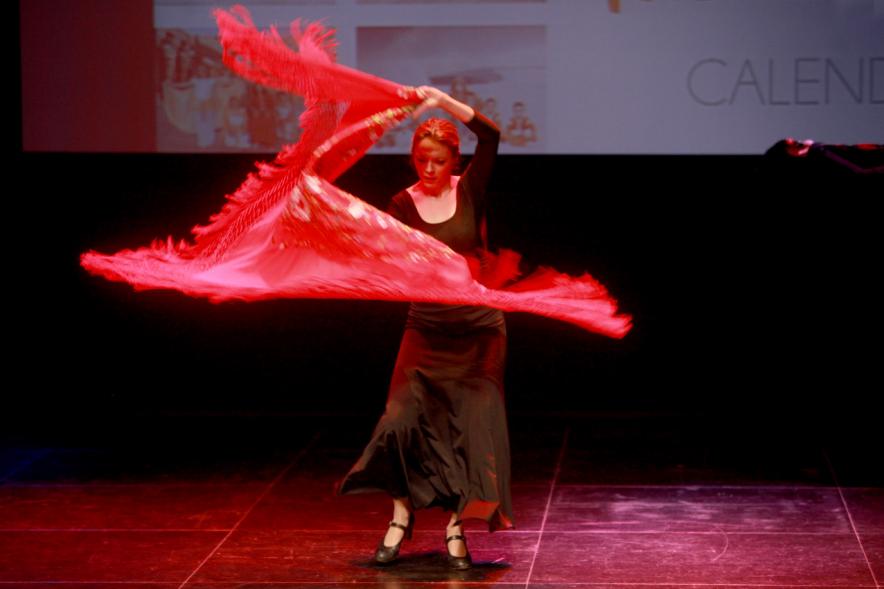 Presentación Calendario APAMA 2019 - Imagen en movimiento de una bailaora. 
