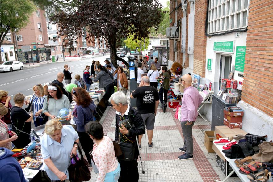 Vista general del rastrillo - 2019