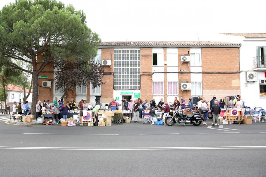 Vista general del rastrillo - 2019
