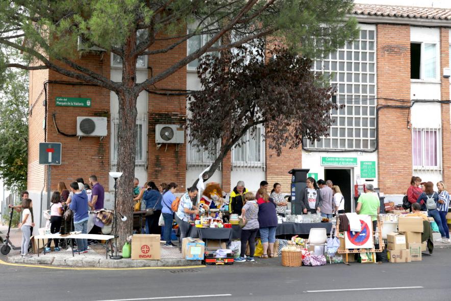 Vista general del rastrillo - 2019