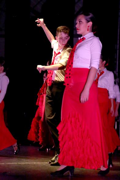 Día de Andalucía 2018 - Imagen de un grupo de bailarines de flamenco en el escenario en un  momento de su actuación.