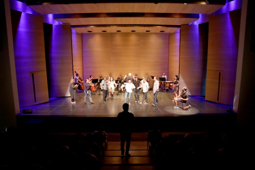 Antología Lírica Española en el Auditorio Paco de Lucía - Imagen lejana de un momento de la actuación de los músicos y cantantes del Ensayo Didáctico Antología Lírica Española celebrada en Alcobendas.