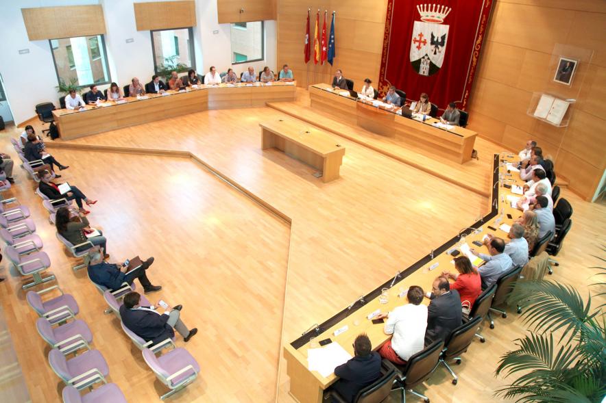 Vista cenital del salón de plenos durante la asamblea