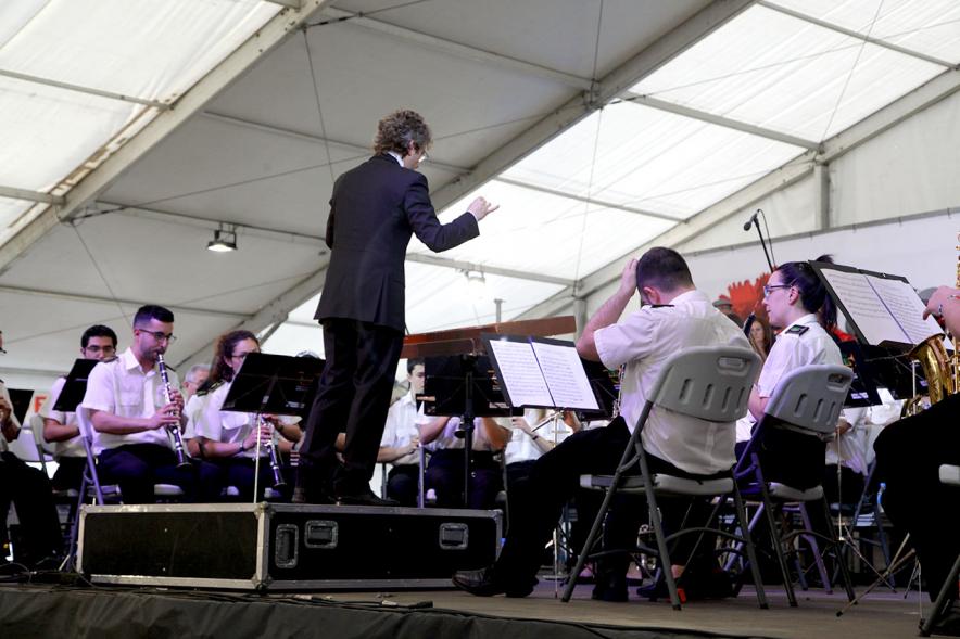 Director de orquesta en acción