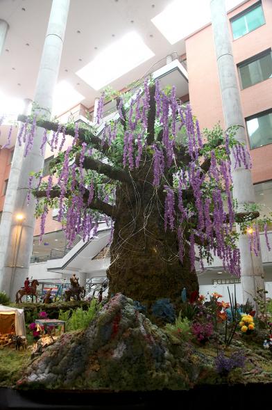 Árbol en Belén