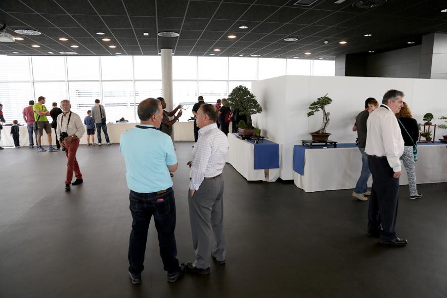 Inauguración Exposición de Bonsais y Suiseki en Espacio Miguel Delibes - Público en general visitando la exposición.
