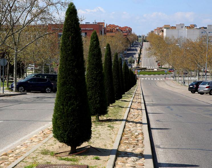 Vista desde la calle Dolores Ibarruri hacia escultura en plaza de paseo Fuentelucha