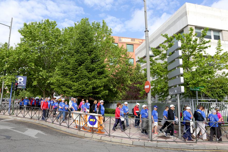 Semana del Mayor 2018 - Marcha Caminando Juntos - Imagen de los participantes en  un momento de la marcha.