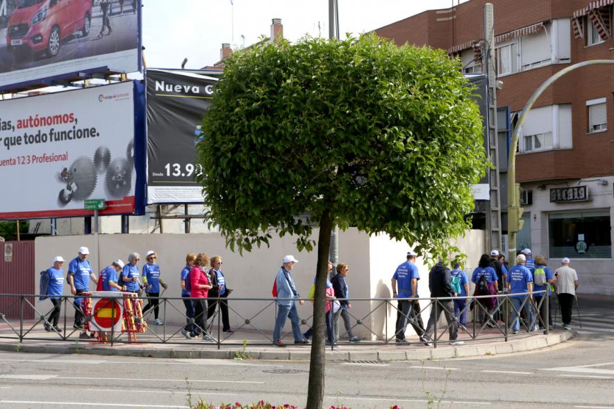Semana del Mayor 2018 - Marcha Caminando Juntos - Imagen de los participantes en  un momento de la marcha y en un primer plano un árbol.
