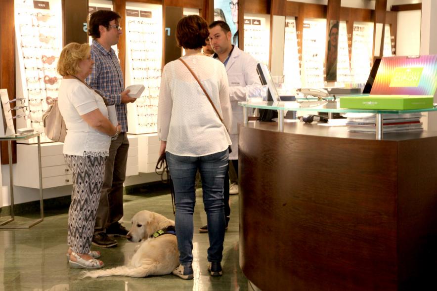 Campaña de Perros de Compañía - Imagen de un perro de compañía y personas charlando alrededor.
