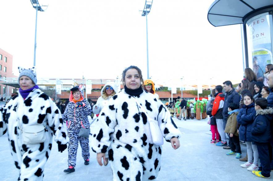 Desfile de Carnaval 2018 - Imagen de un grupo de personas disfrazadas en un momento del desfile.