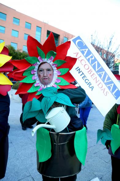 Desfile de Carnaval 2018 - Imagen de una persona disfrazada.