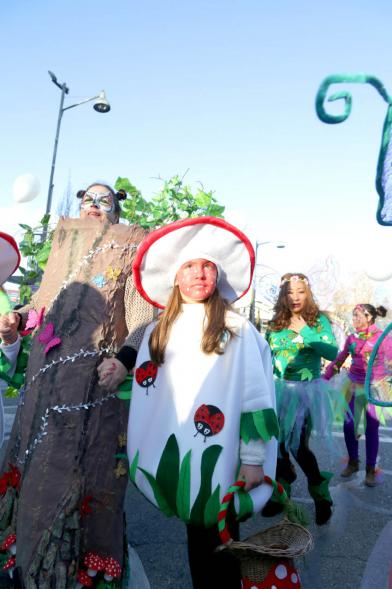 Desfile de Carnaval 2018 -  Imagen de un grupo de personas disfrazadas en un momento del desfile.