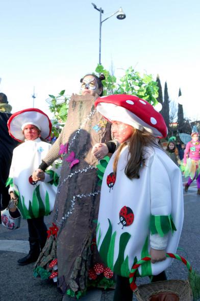 Desfile de Carnaval 2018 -  Imagen de un grupo de personas disfrazadas en un momento del desfile.