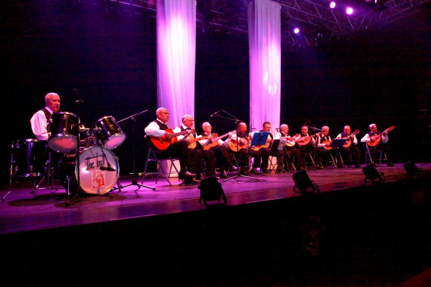 Baile de Carnaval de Mayores 2017 - Imagen de grupo de bandurrias en el escenario.