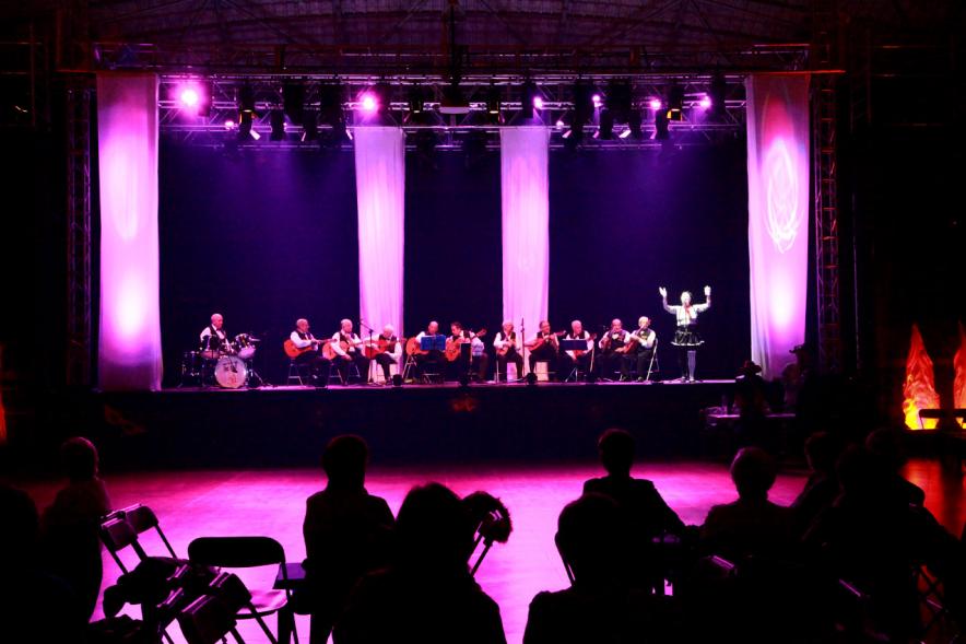 Baile de Carnaval de Mayores 2017 - Imagen de grupo de bandurrias en el escenario.