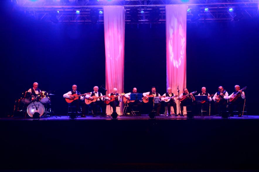 Baile de Carnaval de Mayores 2017 - Imagen de grupo de bandurrias en el escenario.