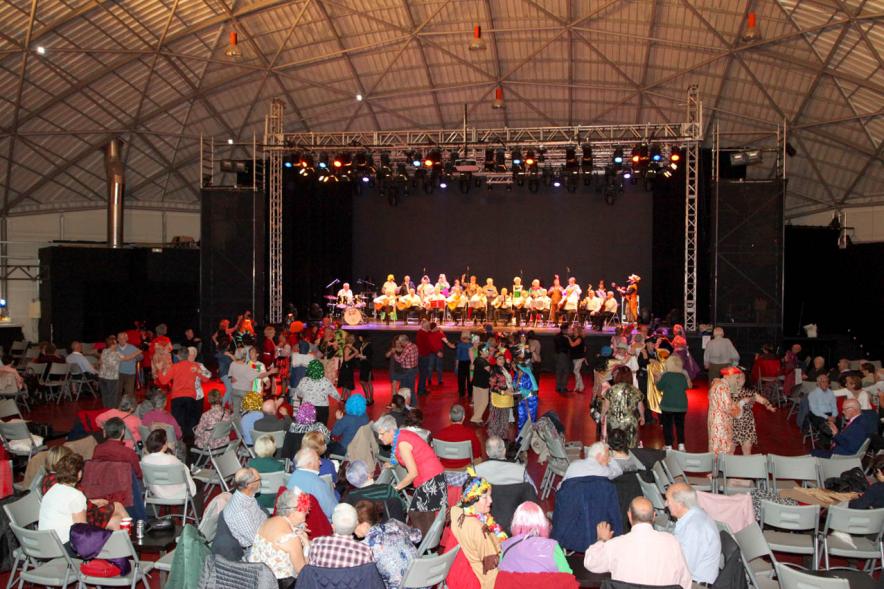 Vista general del evento. Carnaval de Mayores 2020 -