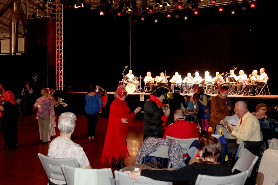 Carnaval de Mayores 2019. Vista general del evento.