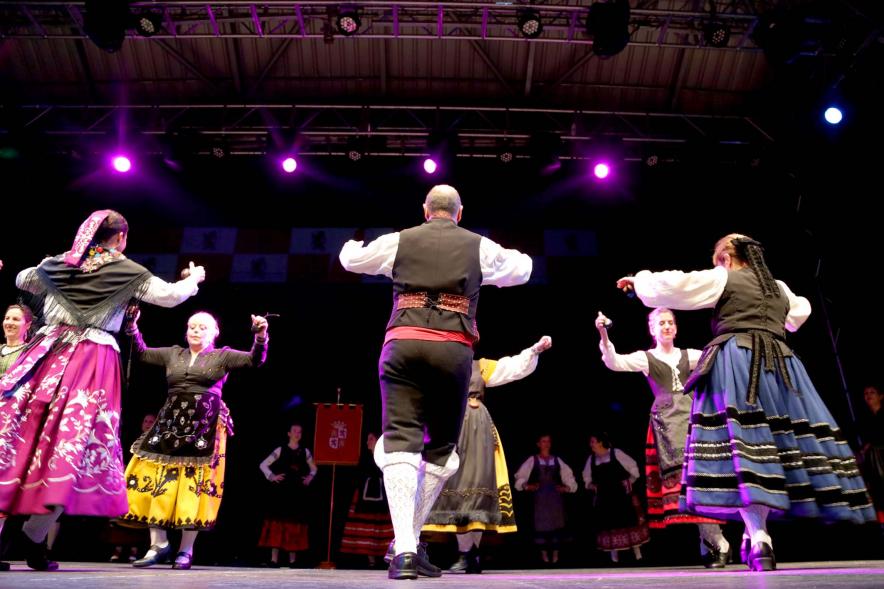 Fiesta de la Comunidad de Castilla y Leon - Festival Folklórico 2018 - Grupo de participantes regionales bailando.