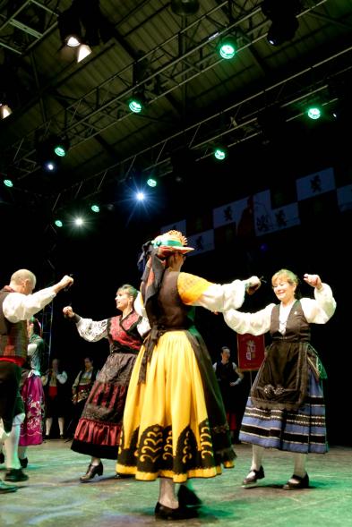 Fiesta de la Comunidad de Castilla y Leon - Festival Folklórico 2018 - Imagen de  parte de un grupo folclórico.