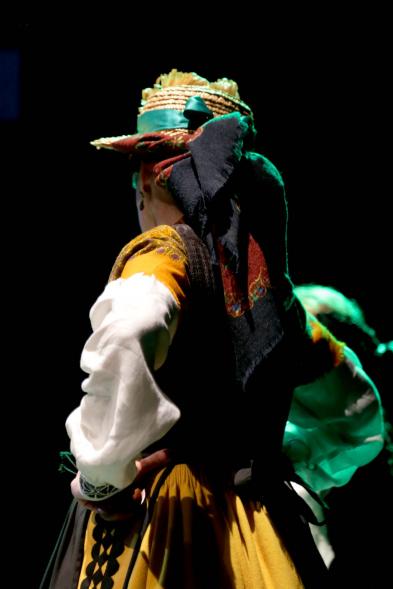 Fiesta de la Comunidad de Castilla y Leon - Festival Folklórico 2018 - Imagen de una joven con el traje regional.
