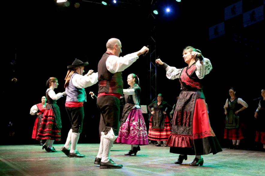 Fiesta de la Comunidad de Castilla y Leon - Festival Folklórico 2018 - Imagen de un grupo regional bailando.