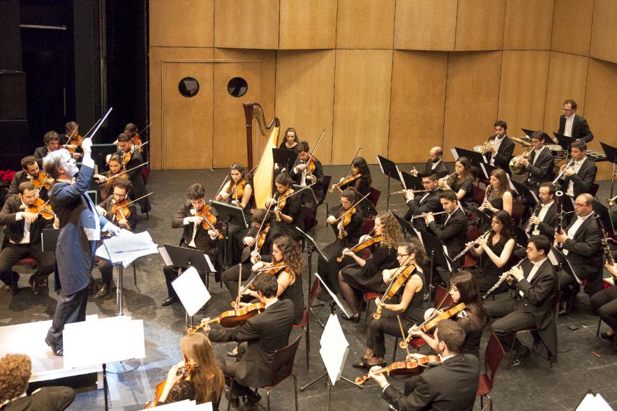 Concierto de Año Nuevo 2017 - Imagen plano general de la orquesta.
