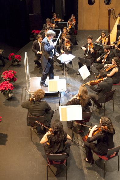 Concierto de Año Nuevo 2017 - Imagen de un momento de la actuación de la orquesta.