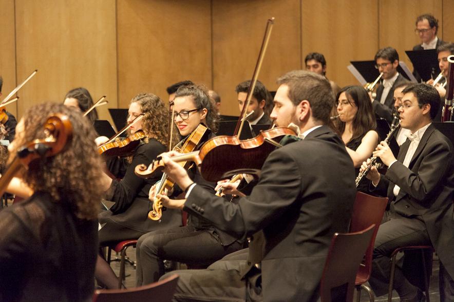 Concierto de Año Nuevo 2017 - Imagen de un momento de la actuación de la orquesta.