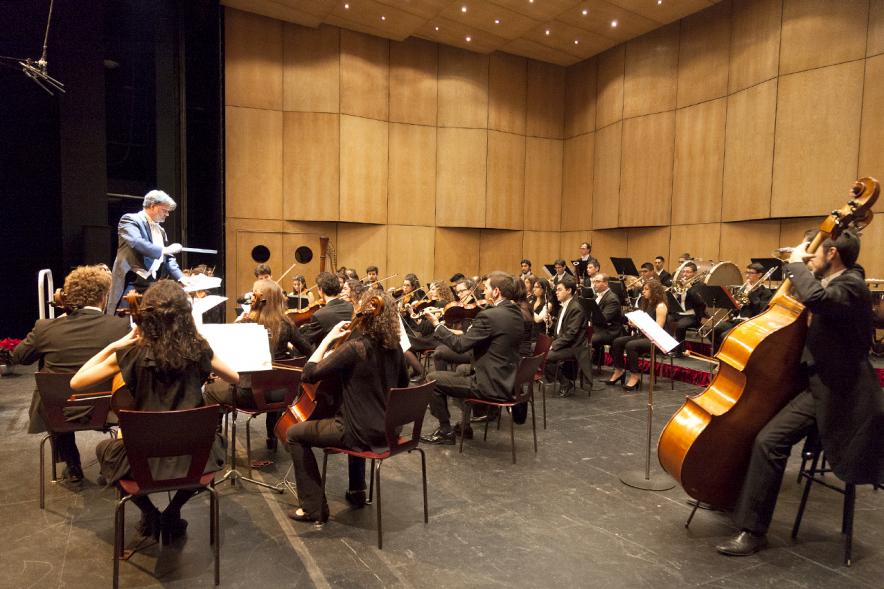 Concierto de Año Nuevo 2017 - Imagen de un momento de la actuación de la orquesta.