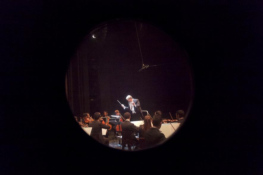 Concierto de Año Nuevo 2017 - Imagen de un momento de la actuación de la orquesta.