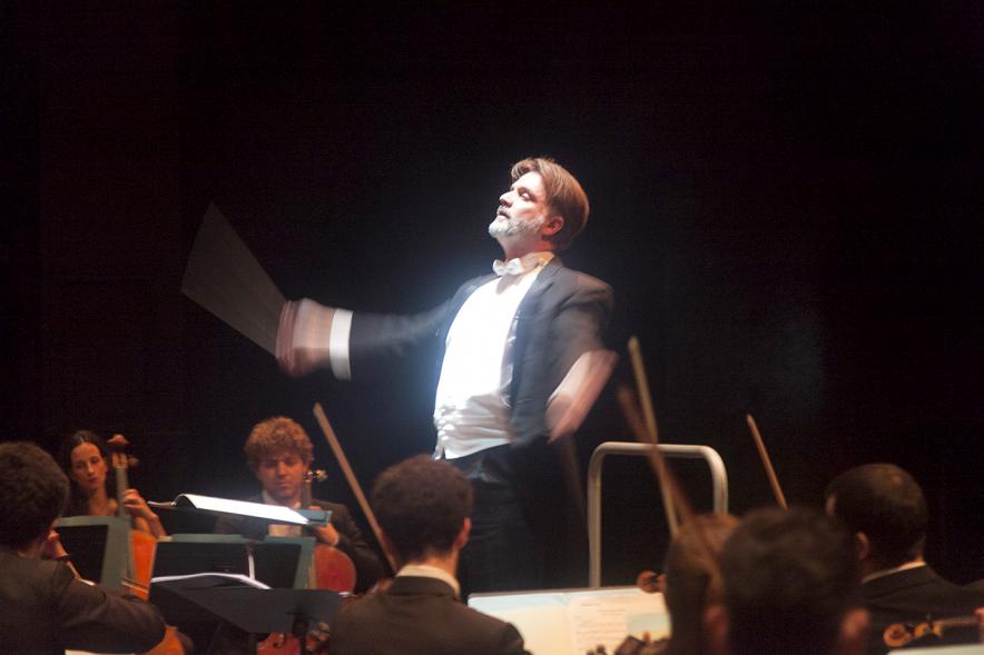 Concierto de Año Nuevo 2017 - Imagen de un momento de la actuación de la orquesta.
