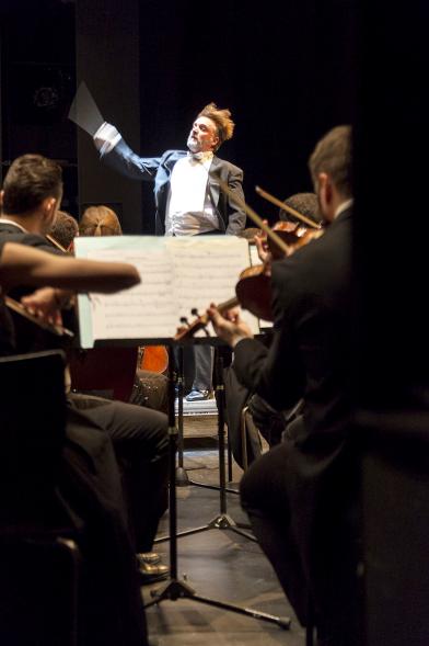 Concierto de Año Nuevo 2017 - Imagen de un momento de la actuación de la orquesta.