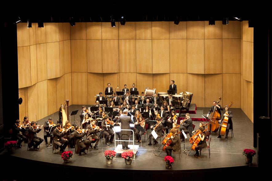 Concierto de Año Nuevo 2017 - Imagen plano general de la orquesta.